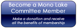 Become a member