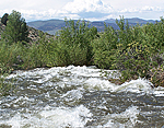 Lee Vining Creek