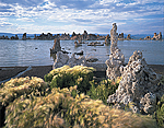 Mono Lake's South Shore