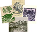 Mono Basin card set & 2026 Mono Lake Calendar