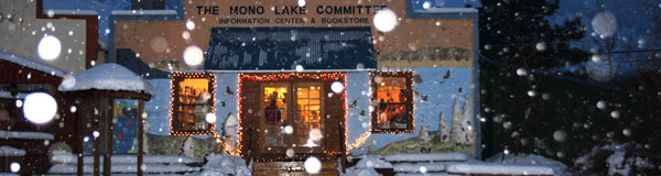 Mono Lake Committee storefront, snow falling